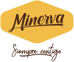 1A-WEB-MINERVA-39